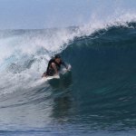 Doctor Photo surfing
